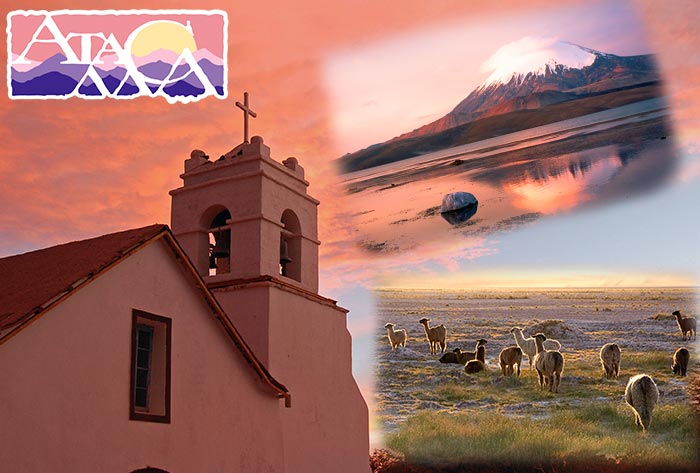 Gobierno Regional de Atacama